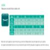 OPPO Elasticated Clavicle Support improves and corrects poor posture, provides pain relief, comfortable, allows normal daily movement (Small) view 4
