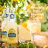 Fentimans Traditional Victorian Lemonade - Botanically Brewed Lemonade with Lemon Juice - Exquisitely Crafted & Refreshing Soft Drinks - Gluten-Free and Vegan Friendly Soft Drinks - 12 x 275ml Bottles view 4