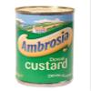 Ambrosia Devon Custard 12x425g view 1
