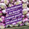 KnobiVital With Pomegranate & Elderberry Organic (960 ml) I Highly Concentrated Garlic Juice with Thiamine for Energy, Nerves & Heart I Natural & No Additives view 4