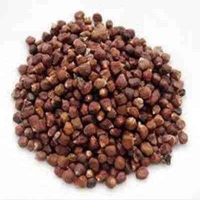 Grains of Paradise 100g - Aframomum melegueta