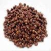 Grains of Paradise 100g - Aframomum melegueta view 1