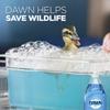 Dawn Ultra Dishwashing Liquid, Original Scent, 638ml 21.6oz view 3