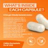 Bio-Kult Everyday | 14 Strains | Daily Gut Support for Ages 3+ | Multi-Strain Probiotic | 30 Capsules view 3