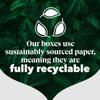 PG Tips Original | 100 Black Tea Bags Bulk | One Cup | String & Tagged | Refreshing & Flavourful | Ideal for Office Breaks & Catering, Celebrations, Afternoon Tea | Plant Based Biodegradable Teabags view 2