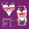 Vimto Fizzy Fruit Juice Drink  Blackcurrant, Grape & Raspberry  24 x 330ml Cans  Sparkling Mixed Fruit Flavour  Vegetarian  Real Juice from Concentrate view 2