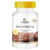 Linseed Oil Capsules - Vegetable Omega 3-6-9 Capsules - High Dose - Flaxseed Oil 500mg - 250 Softgels - Bulk Pack | Warnke Vitalstoffe - German Pharmacy Quality view 1