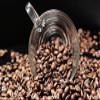 Gift Set Coffee Rarity Kopi Luwak Arabica, Jamaica, Australian Grown Coffee b... view 3
