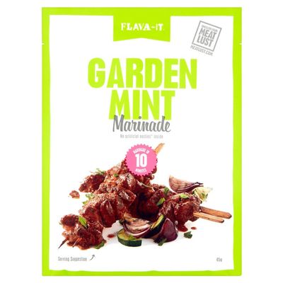Flava-it Garden Mint Marinade 45 G (Pack of 12)
