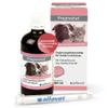 alfavet Pregnostat for Dogs & Cats (100 ml) Liquid Supplement for Reproductive Support With Pulsatilla, Melissa & Asa Foetida
