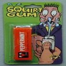1 x Pack of Squirt Gum