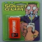 1 x Pack of Squirt Gum