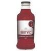 Britvic Cranberry Juice 24x160ml Glass Bottles view 1