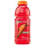Gatorade Fruit Punch 20 oz. (591 mL) - 12 Pack