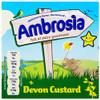 Ambrosia Devon Custard 500 g (Pack of 12) view 1