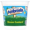 Ambrosia Devon Custard 150 g (Pack of 12) view 1