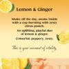 Twinings Lemon and Ginger Flavoured Tea -320 Biodegradable Bags (Multipack of 4 x 80), Caffeine-Free Herbal Tea with Zesty Lemon & Spicy Ginger Flavor, Refreshing & Soothing Beverage view 3
