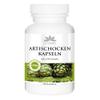 Artichoke Extract, 2.5% Cynarin, 90 Capsules - Vegan | HERBADIREKT by Warnke Vitalstoffe - German Pharmacy Quality