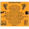 Buckfast Drink Blame it on the Bucky T-Shirt view 3
