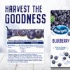 Ocean Spray Blueberry Juice Drink, 1L Carton (12-Pack) view 3