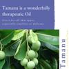 Absolute Aromas Tamanu Oil 50ml - Pure, Natural, Unrefined, Cold-Pressed, Cruelty Free, Vegan, No GMO  Natural Moisturiser and Collagen Booster for Skin, Body and Nails view 2
