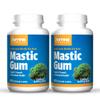 Jarrow Formulas Mastic Gum 1000 mg - 60 Veggie Caps, Pack of 2 - Natural Formula Supporting Stomach, Duodenal & Oral Health - 60 Total Servings view 1