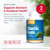 Jarrow Formulas Mastic Gum 1000 mg - 60 Veggie Caps, Pack of 2 - Natural Formula Supporting Stomach, Duodenal & Oral Health - 60 Total Servings view 3
