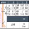 mediven Duomed Patriot Men's 20-30 mmHg Compression Socks view 3