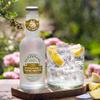 Fentimans Premium Indian Tonic Water - Botanically Brewed Water - Infused with Sicilian Lemon Oil & Lemongrass Extract - Low Calorie, Gluten Free and Vegan Friendly Soft Drinks - 4 x 200ml view 2