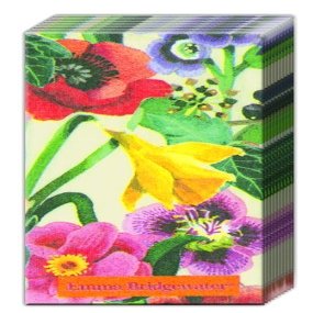 2 Packs of IHR Emma Bridgewater Paper Pocket Handbag Tissues New Flowers