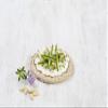 Fiorentini Organic Rye Cakes 100 g (Pack of 6) view 3