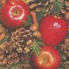 20 Napkins Motif Selection Possible Christmas Apple with Nuts - Apples & Nuts view 2