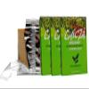 CHICZA THE ORGANIC MAYAN CHEWING GUM SPEARMINT (2 Packs) view 1