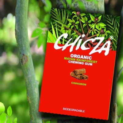 CHICZA The Organic Mayan Chewing Gum Cinnamon 2 X 30g Packets