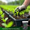 Root Riot Plugs 50 Cubes 714129 view 3
