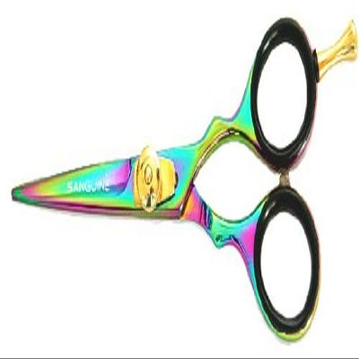 Rainbow Hair Scissors for Beard Trimming for Men - Extremely Sharp 5 inch
