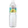 Distilled Vinegar 980ml by Golden Mountain view 1