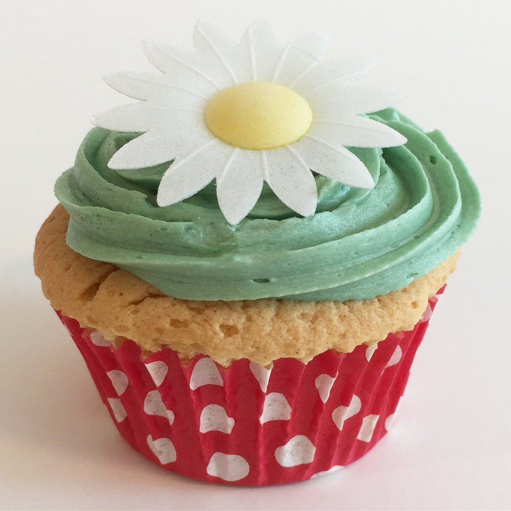 100 Beautiful 3D Edible Flower Cake Decorations: White Daisies