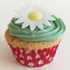 100 Beautiful 3D Edible Flower Cake Decorations: White Daisies view 1
