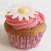 100 Beautiful 3D Edible Flower Cake Decorations: White Daisies view 2