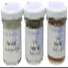 Steenbergs Salt Stacker - gift set view 1