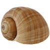Sabarot Finest Burgundy Snails with Shells 300 g view 3