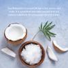 Lucy Bee Extra Virgin Organic Coconut Oil 500ml | Raw, Unrefined, Cold Pressed, Fair Trade, #1 Ethical Consumer Best Buy. Perfect for Cooking, Baking and Natural Beauty for Hair & Skin. view 3