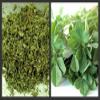 100g | DRIED FENUGREEK LEAVES **FREE UK POST** DRY FENUGREEK LEAF METHI KASTO... view 1