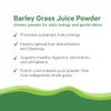 PURE SYNERGY Organic Barley Grass Juice Powder | Chlorophyll-Rich Greens Powder | Cold-Pressed Barley Grass Juice | for Energy, Detox, and Digestion Support (150g Powder) view 4