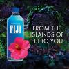 FIJI Artesian Bottled Water, 1L (Pack of 12) view 4