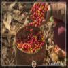 Coffee Speciality from Africa - Ethiopia - Coffee from The Country of Origin Coffee (1000 gr. Ground) - Country Coffee - Top Coffee - Low in Acidity and Healthy, Gentle and Freshly Roasted view 4