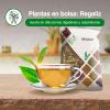 SORIA NATURAL - LICORICE, SORIA bag view 2