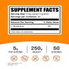 BulkSupplements.com L-Glutamine Powder | Glutamine Supplement, Gluten Free, 5000mg per Serving, 250g view 2