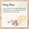 Eco-Me Natural Sudsing Liquid Dish Soap, Citrus Berry, 16 Fluid Ounce view 4
